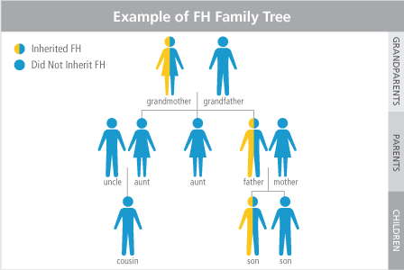 fh causes disorder gene genetic hypercholesterolemia familial patient disease inherited heart